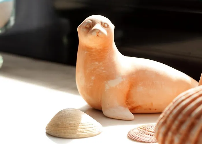 50199... בית נופש קרוליננזיל